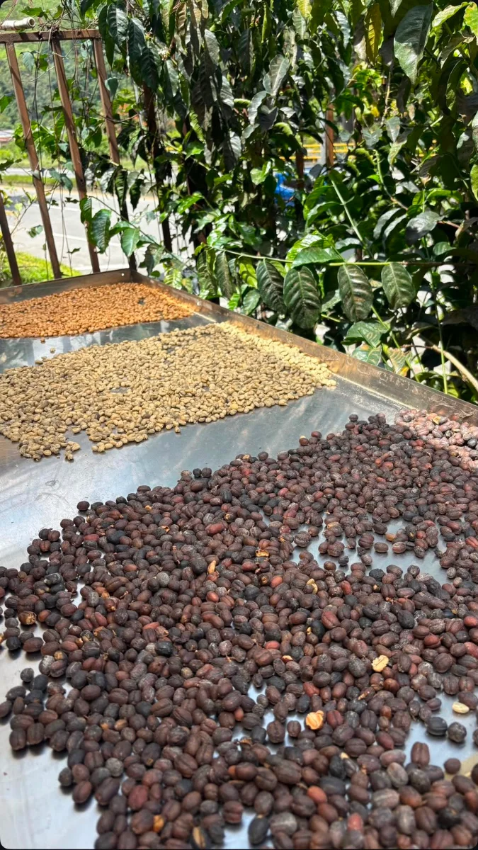 Foto de Montierra Café