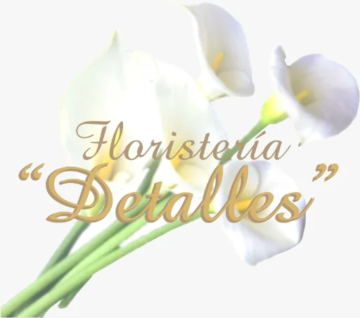Logo de Floristeria Detalles