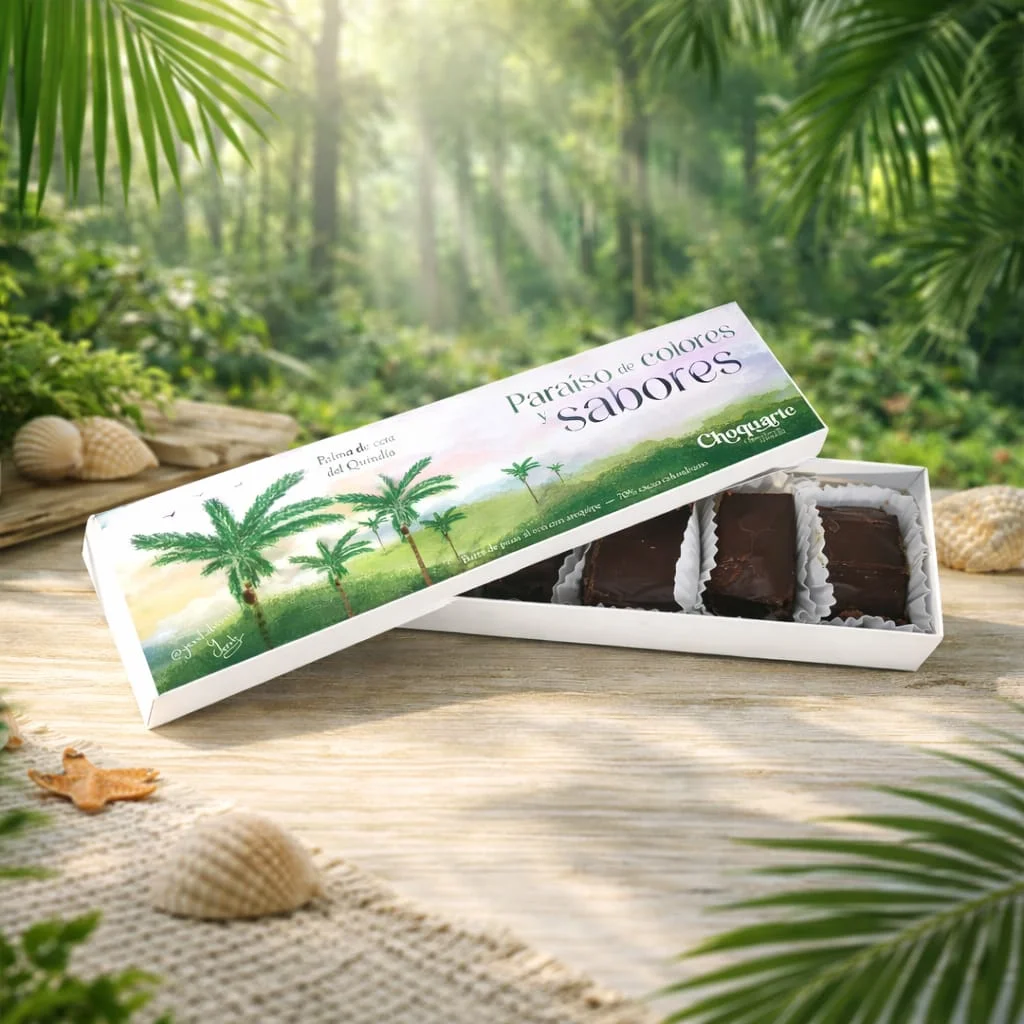 Caja barras Bariloche con pasas al ron y arequipo — Choquarte - Chocolatería artesanal