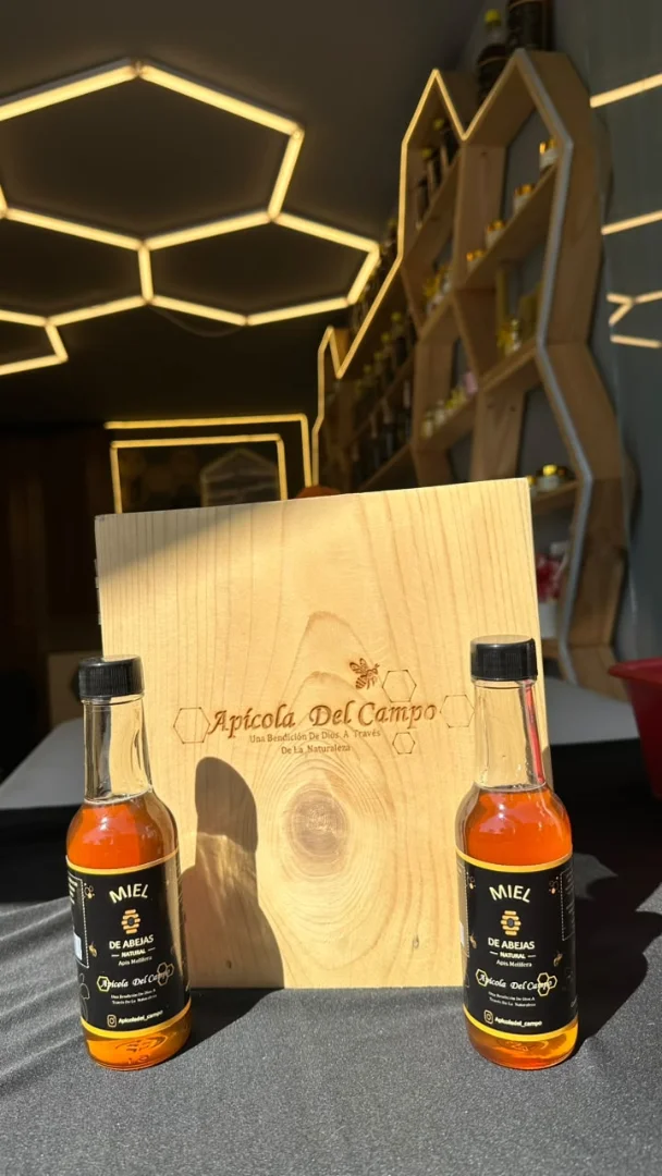 Miel de abejas x 200 gramos — Apiola del Campo