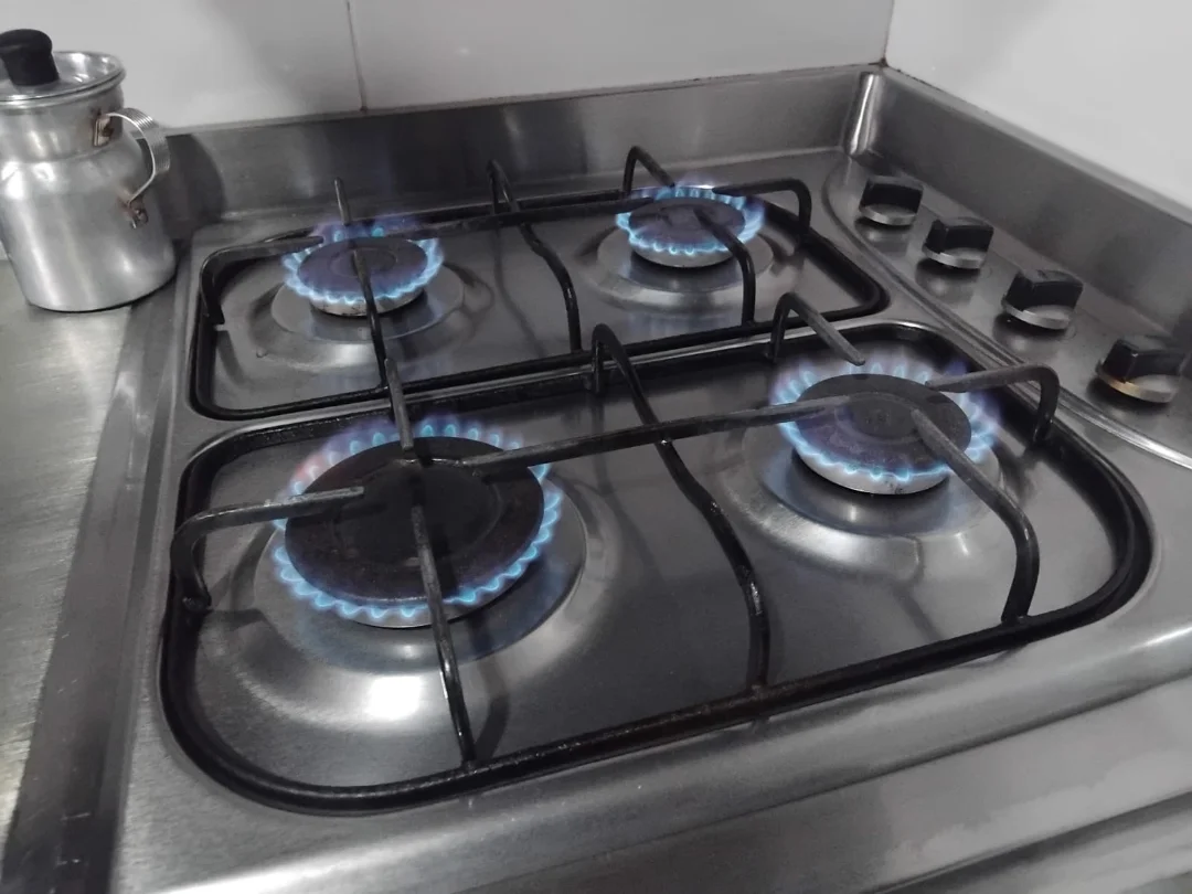 SERVICIO TECNICO PARA ESTUFAS EMPOTRADAS — TECNIGAS Y ARTINGAS