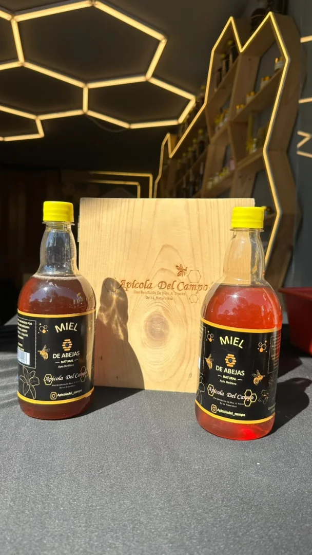 Miel de abejas x 1.000 gramos (Plastico) — Apiola del Campo