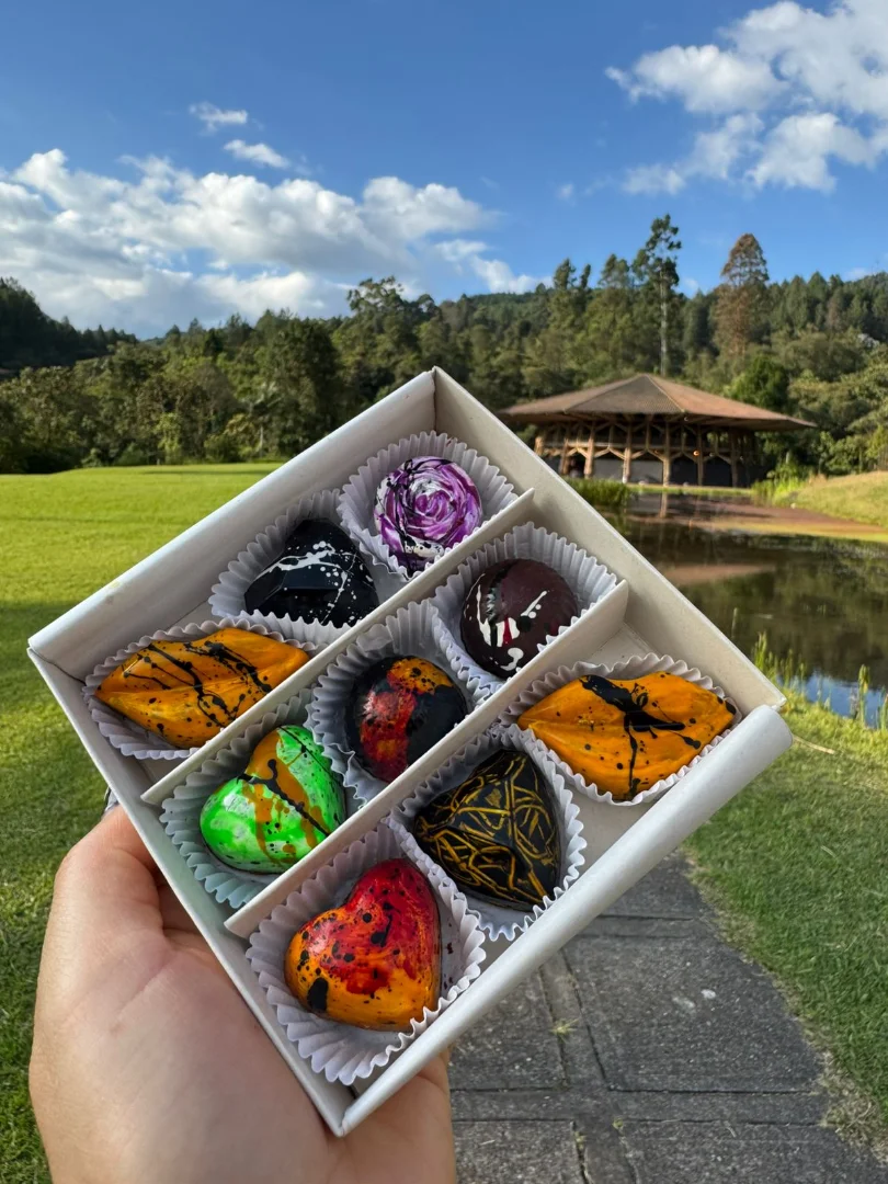 Caja x 9 bombones — Choco Arte Chocolatería Artesanal
