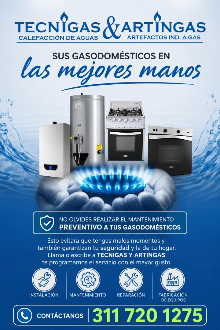 INSTALACION DE CALENTADORES A GAS — TECNIGAS Y ARTINGAS