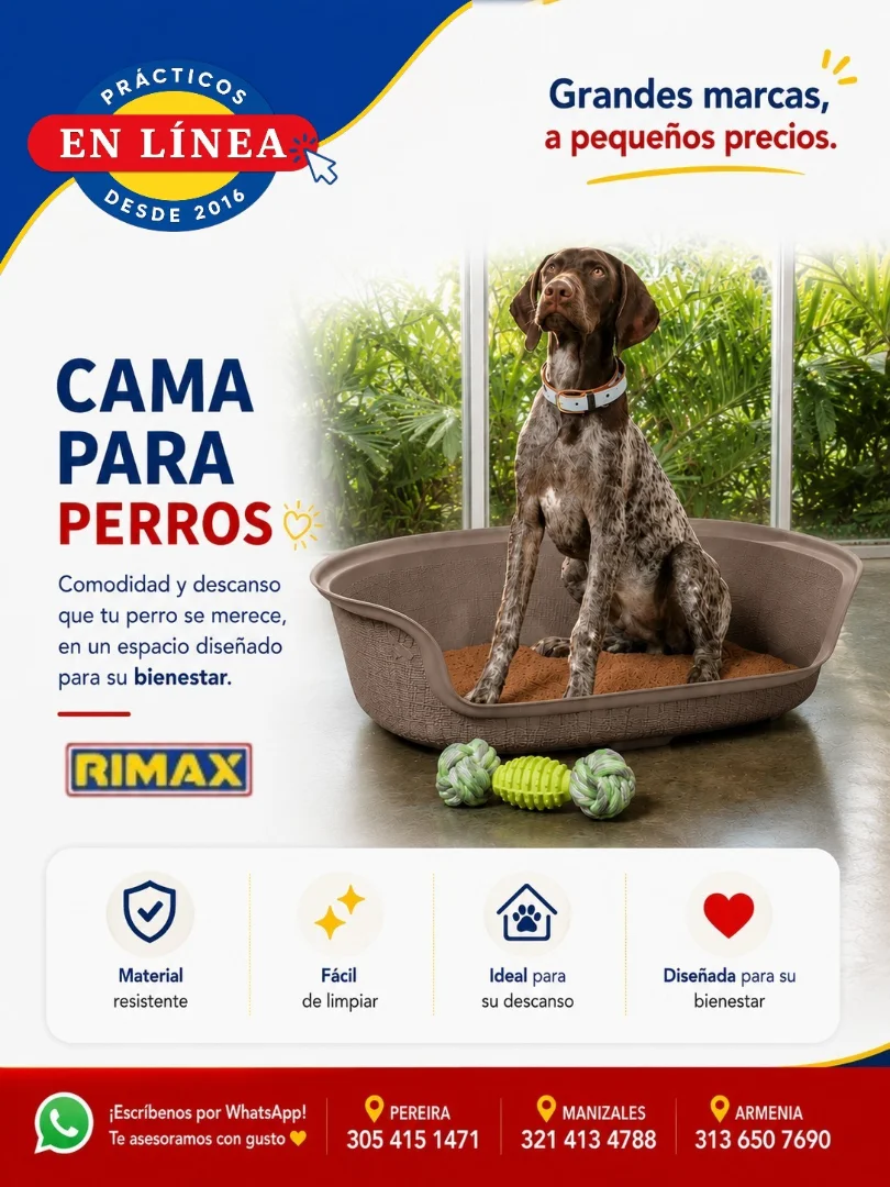 CAMA PARA PERRO — Muebles prácticos Manizales