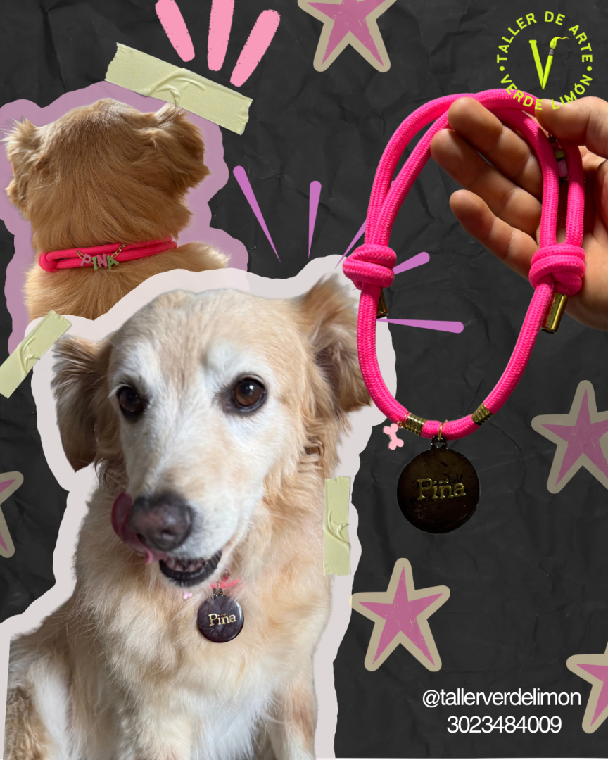 Collares de identificación mascotas — Taller de arte verde limón