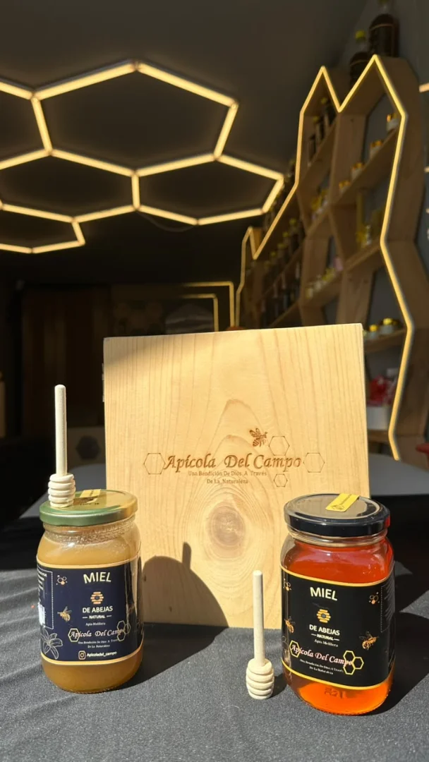 Miel de abejas x 500 gramos (Vidrio) — Apiola del Campo